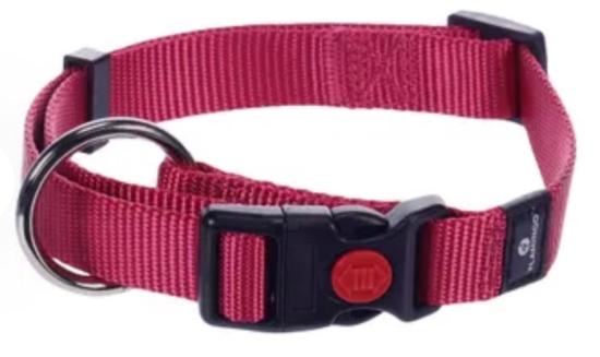 Chien Collier Ziggi Rouge cerise M 40-55cm + sécurité-lock