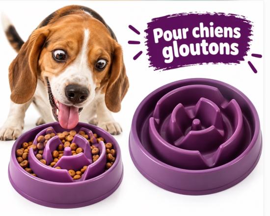 GAMELLE ANTI GLOUTON 20CM