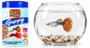 FLOCONS POUR GUPPY 50G