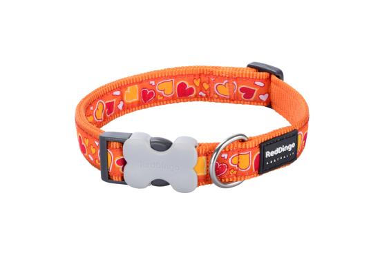 RED DINGO Dog collier Breezy Love Orange XS 12mm x 20-32cm