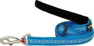 RED DINGO Dog laisse Design Daisy Chain Turquoise L 25mm x 1.8m