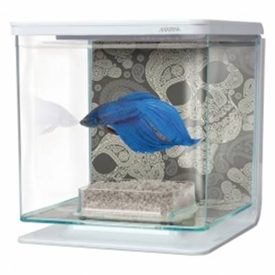 MA BETTA KIT TÊTE DE MORT 2L