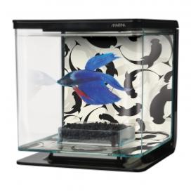 BETTA KIT 2L YING YANG