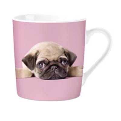 Mug Carlin