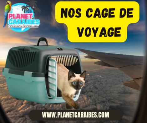 NOS CAGES DE VOYAGE