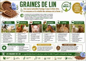 GRAINES DE LIN (RUMI IMPACT) 20KG