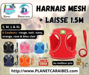 HARNAIS MESH L + LAISSE 1,5M