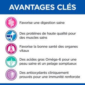 Hill's VET ESSENTIALS Adult croquettes pour grand chien à l'agneau & au riz 16kg