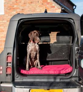 COUSSIN CONFORTABLE CRATE 107x69x7CM BORDEAUX