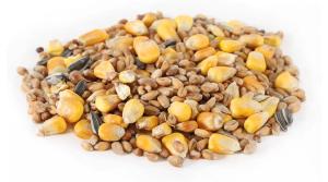 PONTE MIX GRANULE 10KG