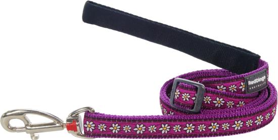 RED DINGO Dog laisse Design Daisy Chain Purple L 25mm x 1.8m