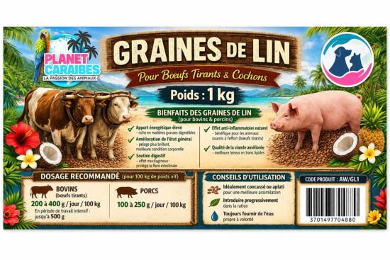 GRAINES DE LIN SEAU 1kg