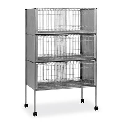 CAGE EXPOSITION P-50 3 ETAGES
