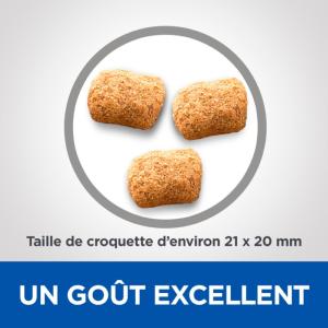 Hill's VET ESSENTIALS Mature Dental Health croquettes pour grand chien âgé au poulet 10kg