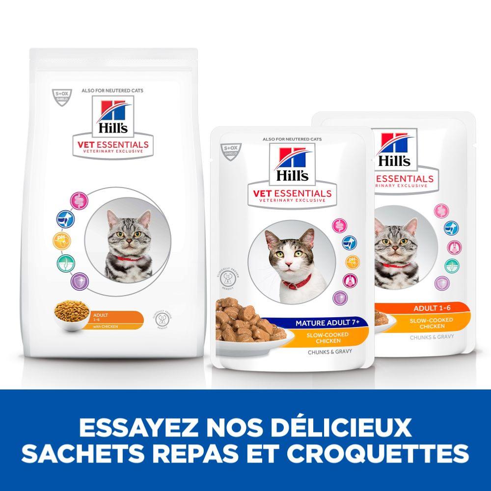manger pour chat hill's