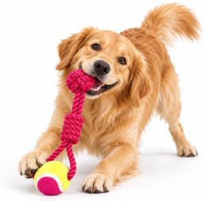 JCHIEN CORDE 2 BALLES 30CM