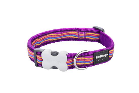 RED DINGO Dog collier Design Dreamstream Purple M 20mm x 31-47cm