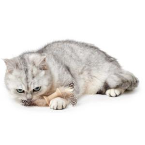 Jouet pour chats Mala Os beige 5 cm