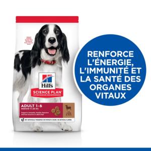 Hill's Science Plan Adult croquettes pour chien à l'agneau et riz 2,5kg