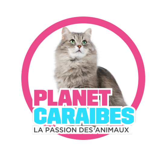 PLANET CARAIBES