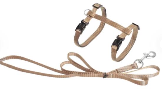 HARNAIS+LAISSE CHAT ZIGGI BEIGE