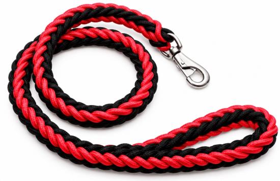 LAISSE CHIEN NYLON BRAIDED TAILLE L