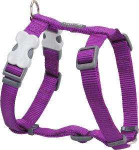 RED DINGO Dog harnais unis Classic Purple M 20mm, cou 36-59cm, corps 45-66cm