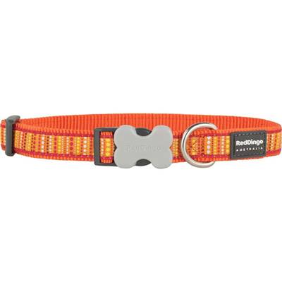 RED DINGO Dog collier Design Lotzadotz Orange M 20mm x 31-47cm