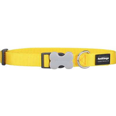 RED DINGO Dog collier unis Classic Yellow M 20mm x 31-47cm