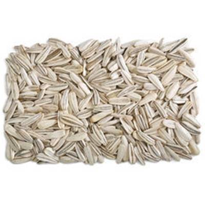 Tournesol blanc 600g