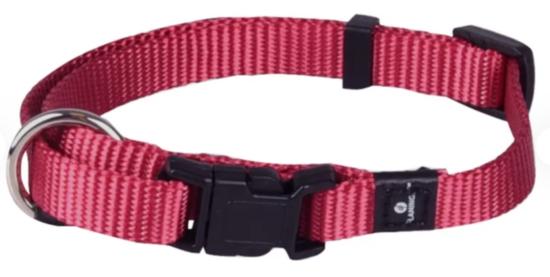 Chien Collier Ziggi Rouge cérise XS 20-35cm