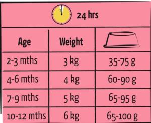 LARA JUNIOR POULET 950G