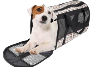 SAC TRANSPORT MAYFAR 50CM-L