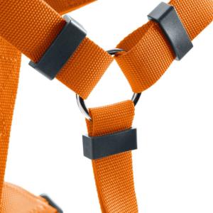 Harnais London Rapid S Cou 38 - 59 cm | Ventre 41 - 70 cm | Large 2,0 cm, orange